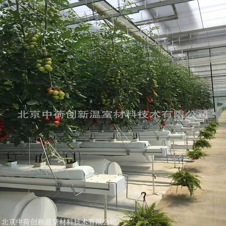 中荷 基质种植槽 荷兰模式栽培槽 欢迎选购